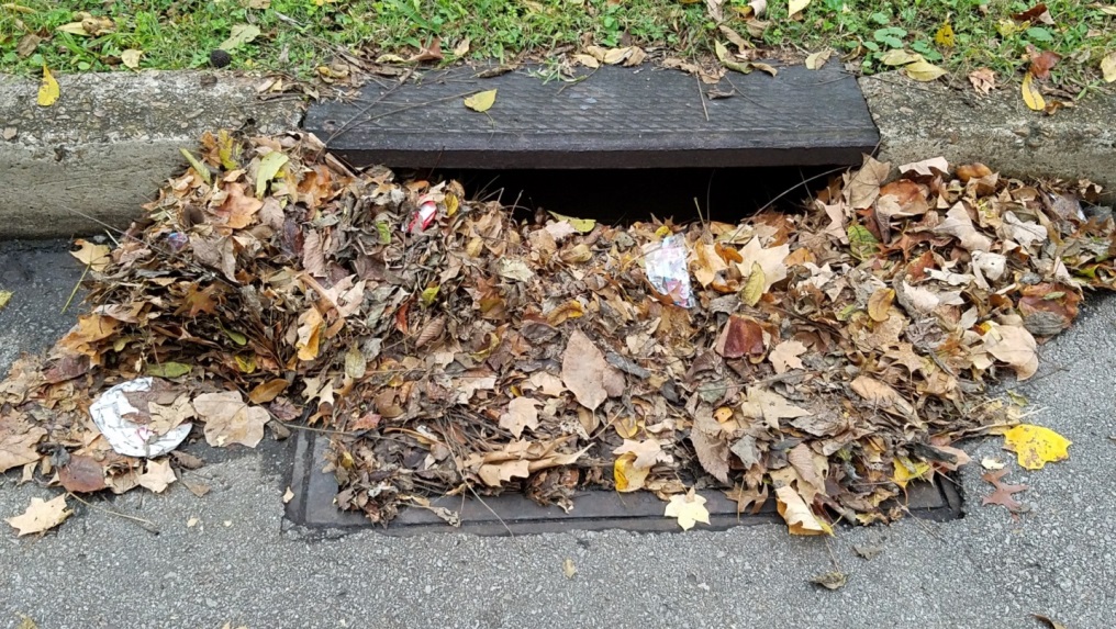 Fall leaves clog storm drains
